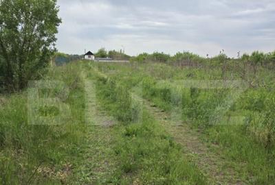 Teren extravilan, de vanzare, 4300 mp, zona Amati - 3