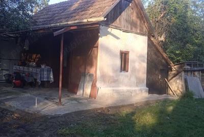 Vand casa in Visinelu cu 14 arii gradina - 5