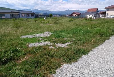 Teren Construcții intravilan de 437 mp, în Micești - 2
