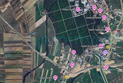 Teren Construcții intravilan de 1745 mp, în Cordău - 1