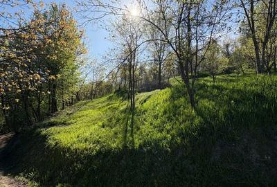Casă cu 4 camere în Blăjeni - 4