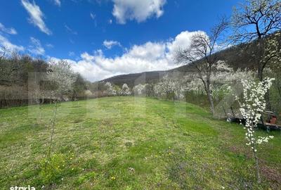 Casă cu 4 camere în Boiu - 7