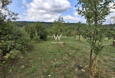De vânzare teren extravilan în Sibiel, jud. Sibiu - 3223 mp - 8