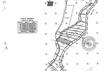 Teren de Vis pe malul lacului Snagov / 4000 mp in inima Naturii /40 m deschidere - 11