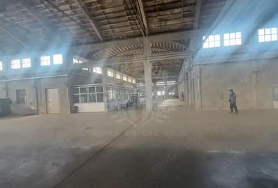 Spațiu comercial, de 3,500 mp, în Bereasca - 6