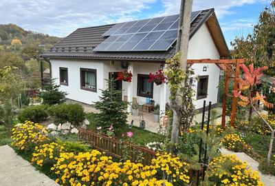 Casa individaual renovata, curte amenjata Boteni de Arges - 2