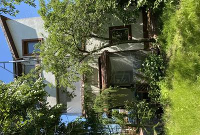 Vila inchiriere pentru locuita ?i afacere zona Brancoveanu-Luica - 5