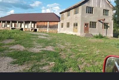 Spațiu comercial, de 9,500 mp, în Pietriș - 5