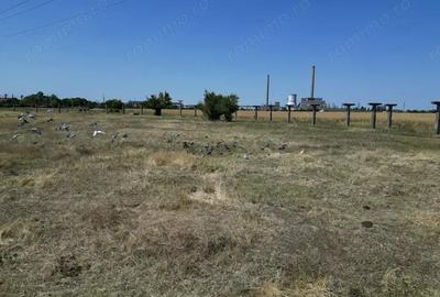 Tern intrevilan 4003 mp - 12