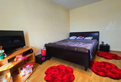 Vila ta aproape de natura – 8 camere, Lacul Pasarea - 68