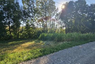 Teren de 7500 mp, în Moara - 12