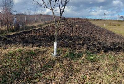 Casă cu 1 camere în Plaiuri - 7