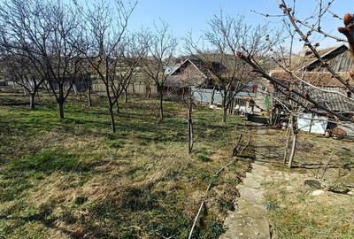 Casă individuală cu 5 camere cu Teren 1500 Mp în Ianoșda - 1