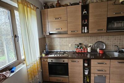 Casă cu 3 camere cu Teren 2800 Mp în Bucșani - 5