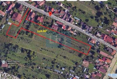 Teren Construcții intravilan de 5318 mp, în Debarcader - 7