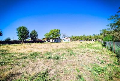 Casa, teren intravilan Negrasi Arges - 3