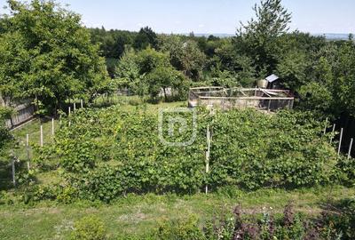 Casa la tara cu 30 ari Rasca - 17