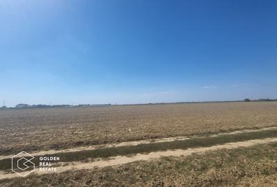 Teren agricol extravilan de 11600 mp, în Moșnița Nouă - 2