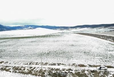 Teren de 4800 mp, în Ciritei - 1