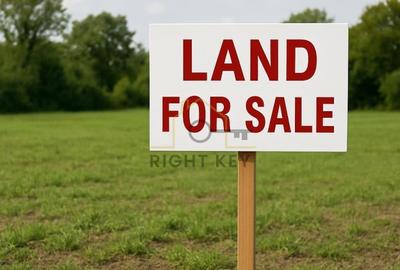 Vanzare teren extravilan 28.700 mp situat la intrarea in Alexandria - 1