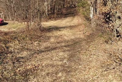 Teren de 900 mp, în Văliug - 5