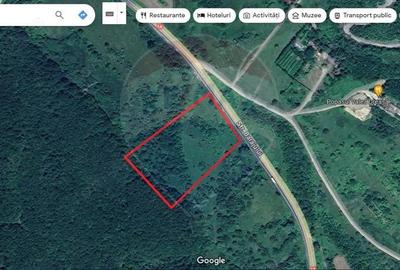 Comision 0 %! Teren 10,000 mp, front la DN1A, Sacele! - 3