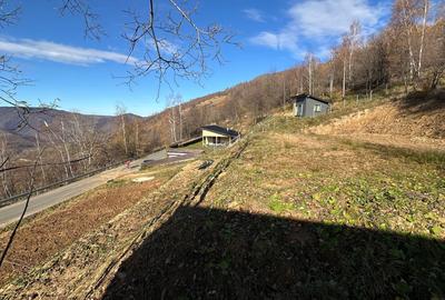 Spațiu comercial, în Plopi - 1