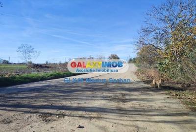 Vanzare teren extravilan Targoviste - 7