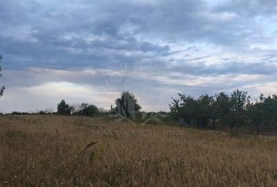 TEREN INTRAVILAN//PAULESTI//2930MP - 1