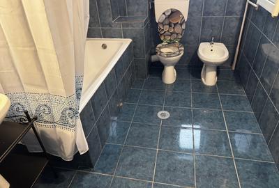 Casă cu 4 camere cu Canalizare în Domenii - 14