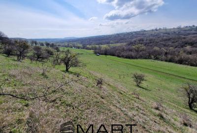 Teren extravilan 16420 mp | Sibiu - Daia - 2