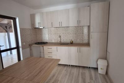 Casa P + 1 zona Lapus, 180 mp si teren 260 mp - 10