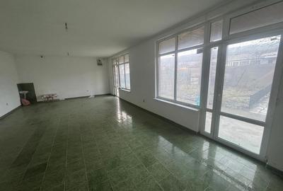 Tomesti - Osoi, vila cu spatiu comercial la parter , 2400mp teren cu iaz si pomi - 4