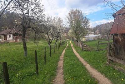 Teren de 1860 mp, în Curăturile - 5