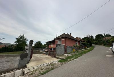 Zau de campie, judetul Mures - 1