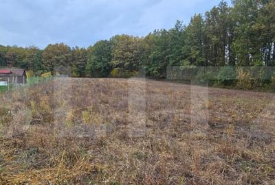 Teren de 2882 mp, în Bejan