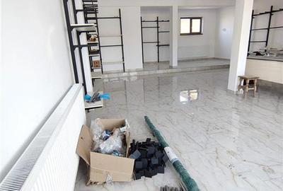 Spațiu comercial, de 240 mp, în Lunca Cetățuii - 17