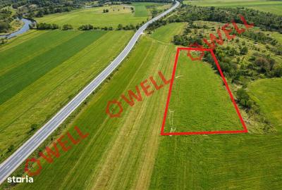 Spațiu comercial, în Olteni - 3