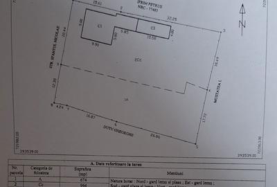 Casă cu 4 camere cu Teren 1638 Mp în Tufești - 3