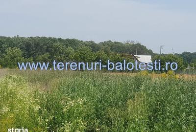 Casă cu 4 camere cu Canalizare în Balotești - 6