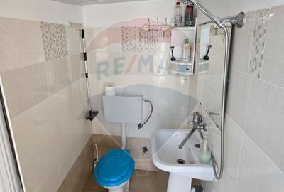 Casa / Vila cu 4 camere de vanzare in zona Central - 18