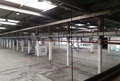 Spațiu comercial, de 20,000 mp, în Timișoara - 20