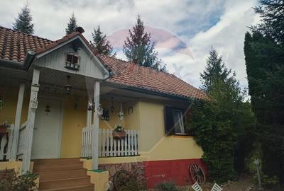 OCAZIE!!! CASA SUPERBA cu teren in JULITA jud Arad in M tii Zarandului - 50