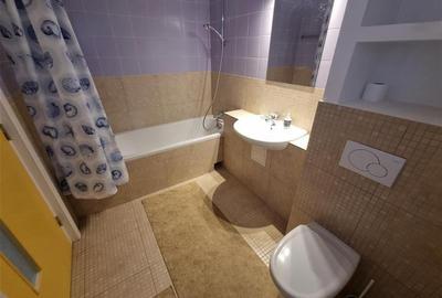 Vila superba de inchiriat ultracentral Brasov - 59