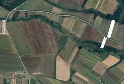 Teren de 8632 mp, în Holod - 1
