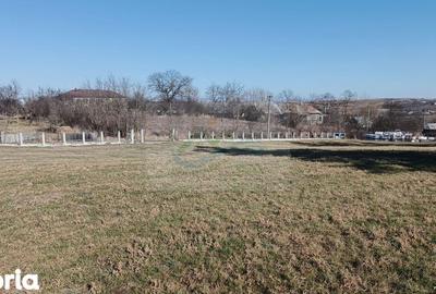 Teren de 4700 mp, în Brusturi - 9