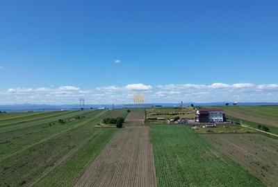 Teren Intravilan 36977 mp E 85 Intrare in Municip... - 3