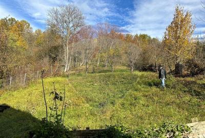 Casa / Vila la gri in Pangarati Neamt - 16