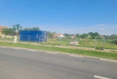 Teren de 3084 mp, în Pustiniș - 1
