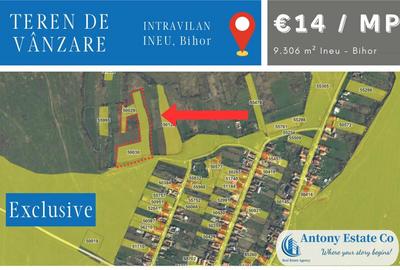Teren de 9306 mp, în Ineu - 3